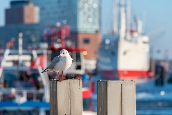 Hamburg