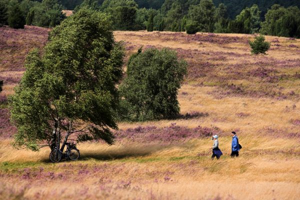 Lüneburger Heide